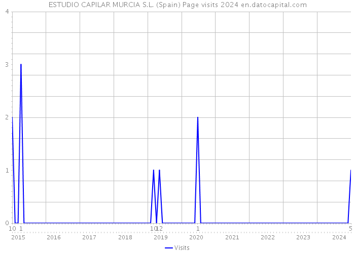 ESTUDIO CAPILAR MURCIA S.L. (Spain) Page visits 2024 