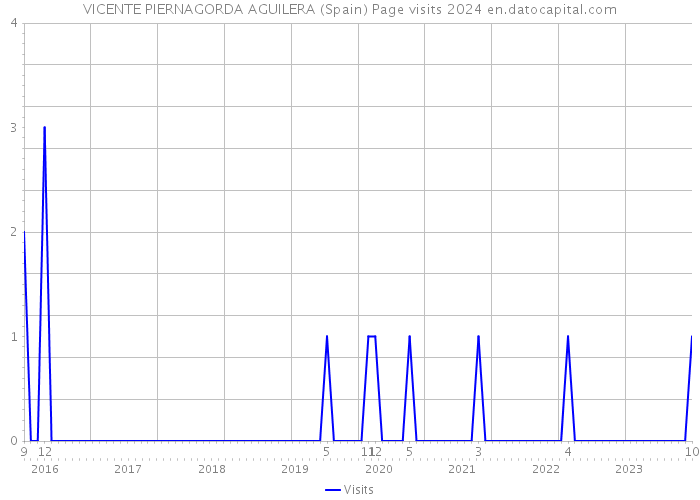 VICENTE PIERNAGORDA AGUILERA (Spain) Page visits 2024 