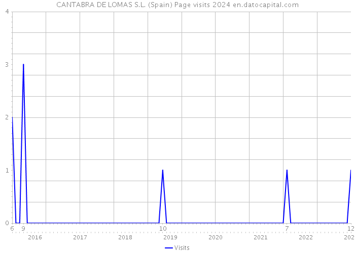 CANTABRA DE LOMAS S.L. (Spain) Page visits 2024 