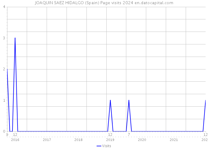 JOAQUIN SAEZ HIDALGO (Spain) Page visits 2024 