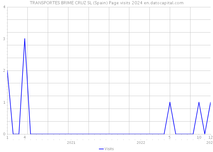 TRANSPORTES BRIME CRUZ SL (Spain) Page visits 2024 