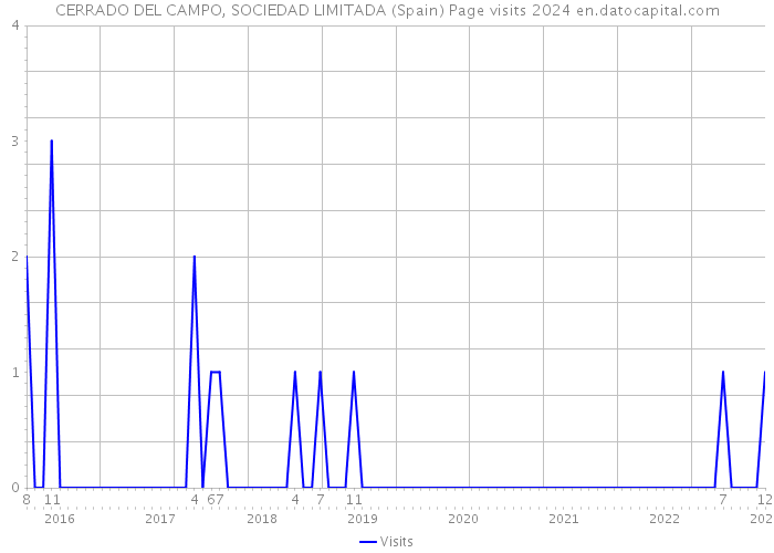 CERRADO DEL CAMPO, SOCIEDAD LIMITADA (Spain) Page visits 2024 