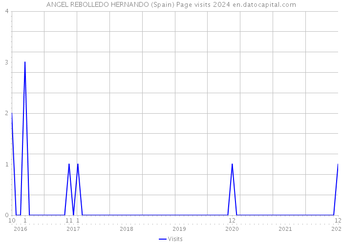 ANGEL REBOLLEDO HERNANDO (Spain) Page visits 2024 