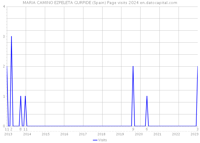 MARIA CAMINO EZPELETA GURPIDE (Spain) Page visits 2024 