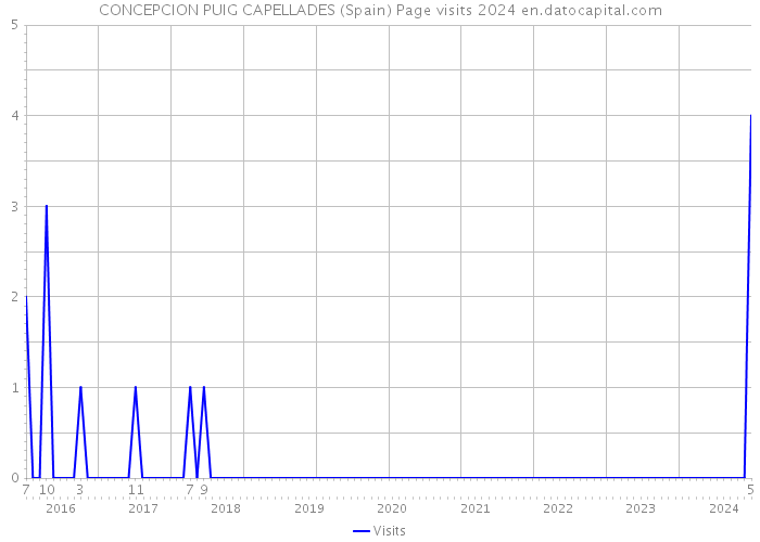 CONCEPCION PUIG CAPELLADES (Spain) Page visits 2024 