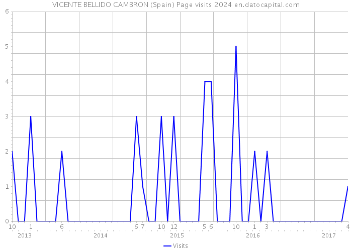 VICENTE BELLIDO CAMBRON (Spain) Page visits 2024 