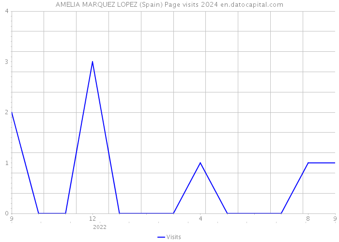 AMELIA MARQUEZ LOPEZ (Spain) Page visits 2024 