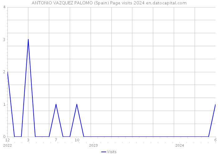 ANTONIO VAZQUEZ PALOMO (Spain) Page visits 2024 