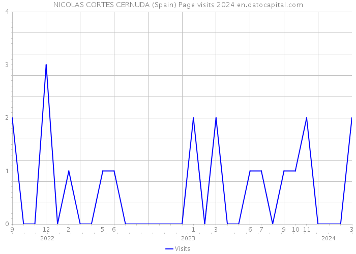 NICOLAS CORTES CERNUDA (Spain) Page visits 2024 