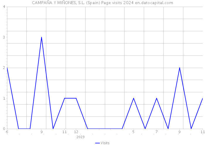 CAMPAÑA Y MIÑONES, S.L. (Spain) Page visits 2024 