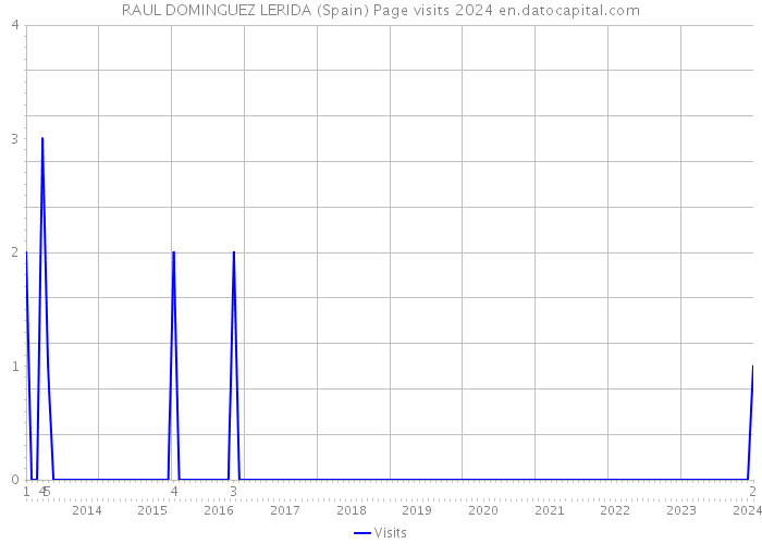 RAUL DOMINGUEZ LERIDA (Spain) Page visits 2024 
