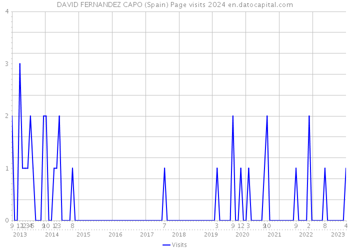DAVID FERNANDEZ CAPO (Spain) Page visits 2024 