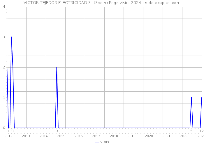 VICTOR TEJEDOR ELECTRICIDAD SL (Spain) Page visits 2024 