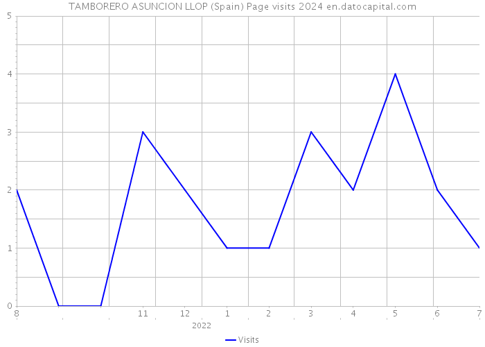TAMBORERO ASUNCION LLOP (Spain) Page visits 2024 