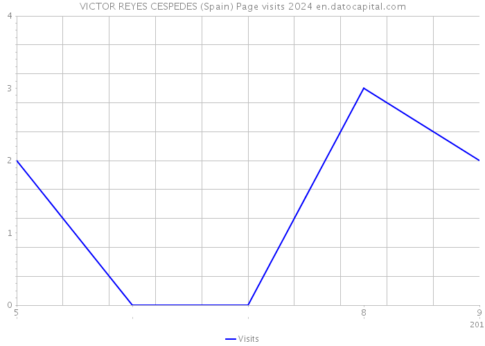 VICTOR REYES CESPEDES (Spain) Page visits 2024 