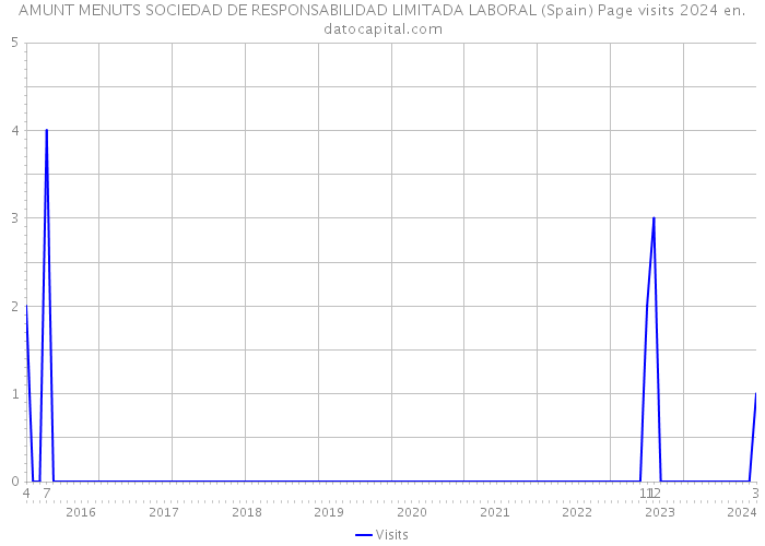 AMUNT MENUTS SOCIEDAD DE RESPONSABILIDAD LIMITADA LABORAL (Spain) Page visits 2024 