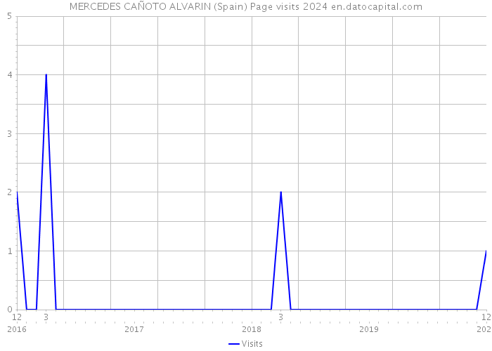 MERCEDES CAÑOTO ALVARIN (Spain) Page visits 2024 