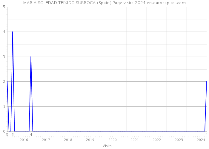 MARIA SOLEDAD TEIXIDO SURROCA (Spain) Page visits 2024 