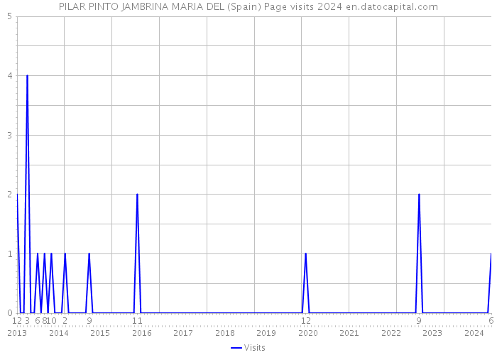 PILAR PINTO JAMBRINA MARIA DEL (Spain) Page visits 2024 