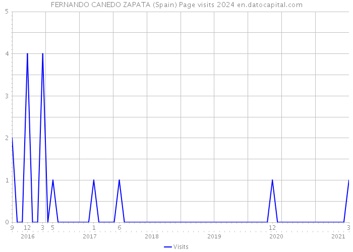 FERNANDO CANEDO ZAPATA (Spain) Page visits 2024 