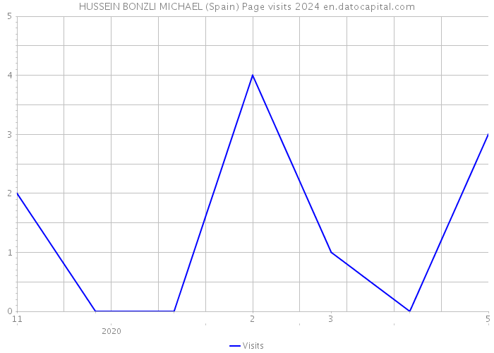 HUSSEIN BONZLI MICHAEL (Spain) Page visits 2024 