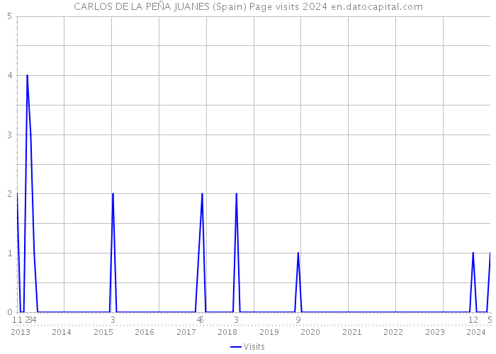 CARLOS DE LA PEÑA JUANES (Spain) Page visits 2024 