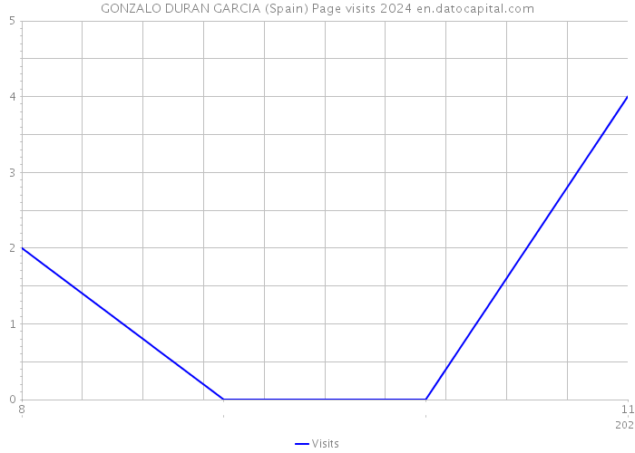 GONZALO DURAN GARCIA (Spain) Page visits 2024 