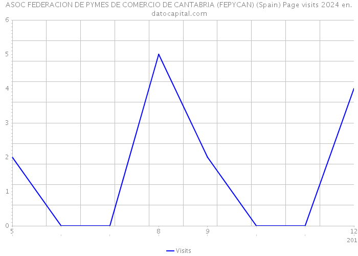 ASOC FEDERACION DE PYMES DE COMERCIO DE CANTABRIA (FEPYCAN) (Spain) Page visits 2024 