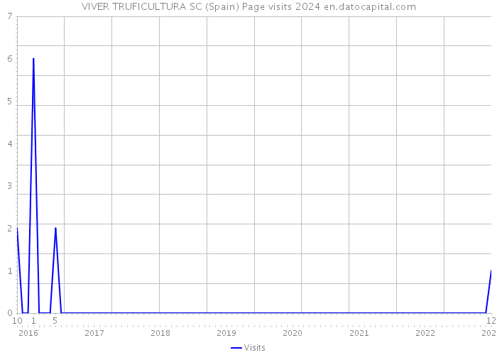 VIVER TRUFICULTURA SC (Spain) Page visits 2024 