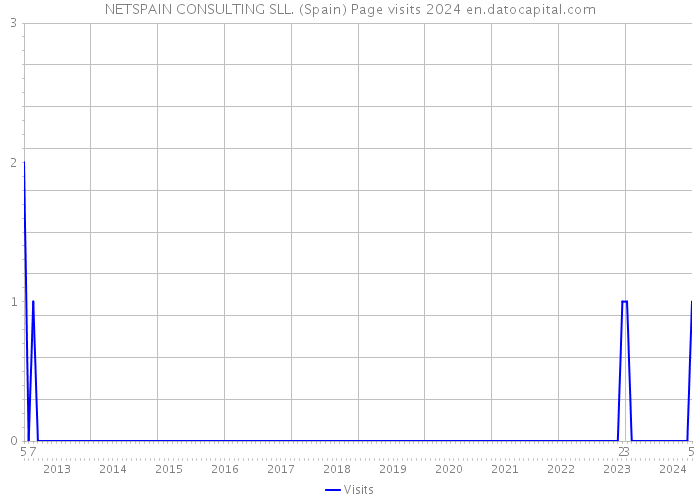 NETSPAIN CONSULTING SLL. (Spain) Page visits 2024 