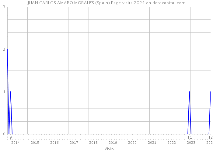 JUAN CARLOS AMARO MORALES (Spain) Page visits 2024 
