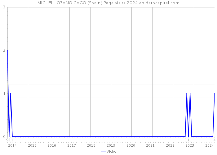 MIGUEL LOZANO GAGO (Spain) Page visits 2024 