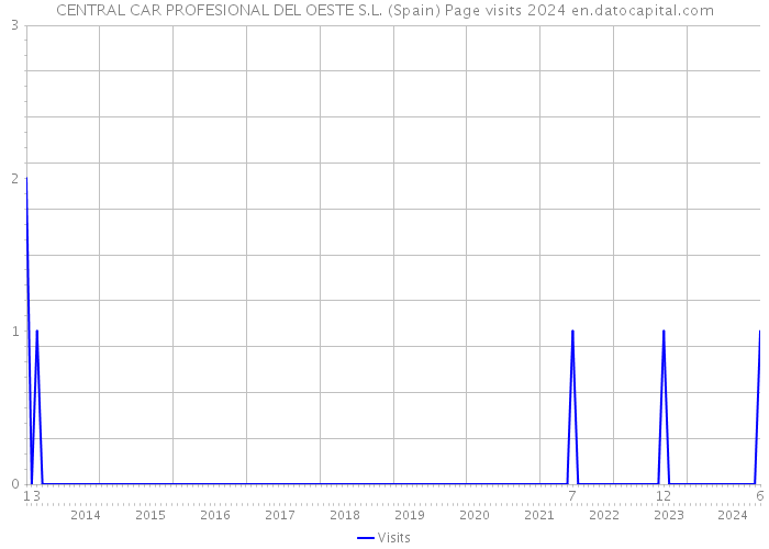 CENTRAL CAR PROFESIONAL DEL OESTE S.L. (Spain) Page visits 2024 