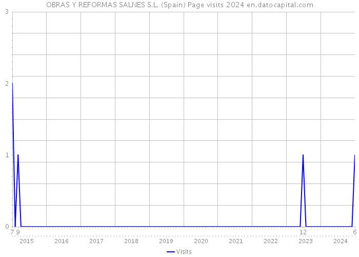 OBRAS Y REFORMAS SALNES S.L. (Spain) Page visits 2024 