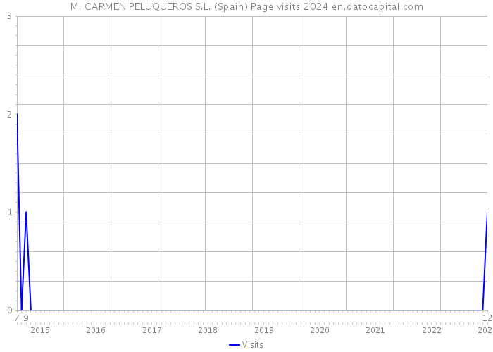 M. CARMEN PELUQUEROS S.L. (Spain) Page visits 2024 