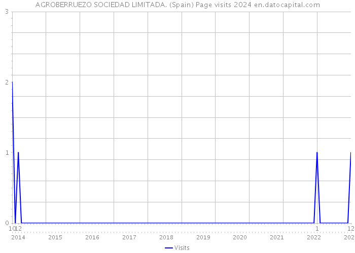 AGROBERRUEZO SOCIEDAD LIMITADA. (Spain) Page visits 2024 