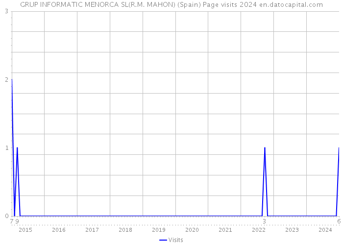 GRUP INFORMATIC MENORCA SL(R.M. MAHON) (Spain) Page visits 2024 