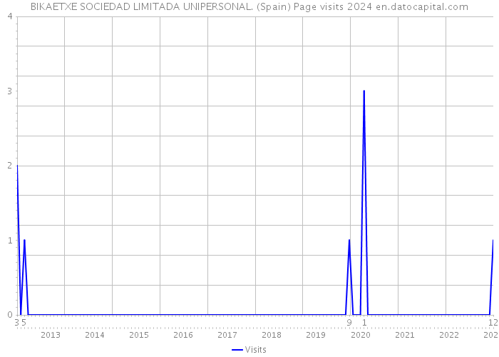 BIKAETXE SOCIEDAD LIMITADA UNIPERSONAL. (Spain) Page visits 2024 
