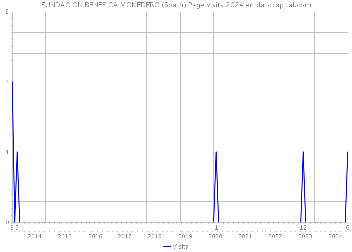 FUNDACION BENEFICA MONEDERO (Spain) Page visits 2024 