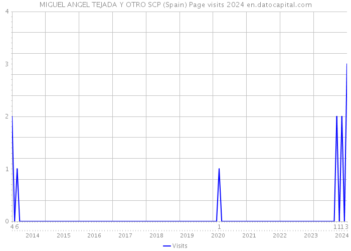 MIGUEL ANGEL TEJADA Y OTRO SCP (Spain) Page visits 2024 