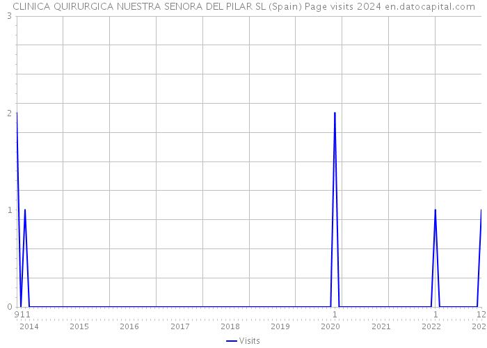 CLINICA QUIRURGICA NUESTRA SENORA DEL PILAR SL (Spain) Page visits 2024 