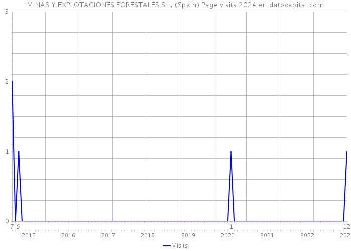 MINAS Y EXPLOTACIONES FORESTALES S.L. (Spain) Page visits 2024 