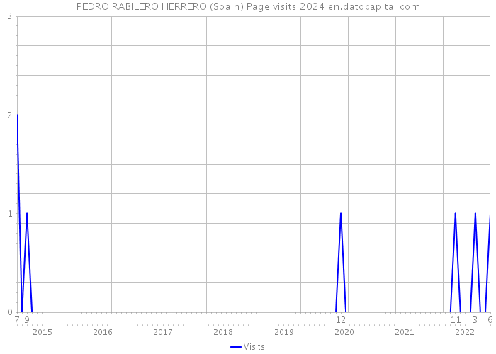 PEDRO RABILERO HERRERO (Spain) Page visits 2024 