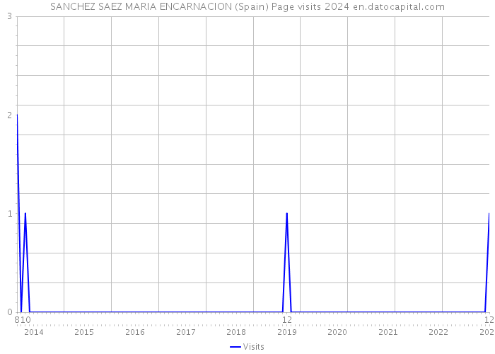 SANCHEZ SAEZ MARIA ENCARNACION (Spain) Page visits 2024 