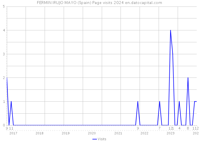 FERMIN IRUJO MAYO (Spain) Page visits 2024 