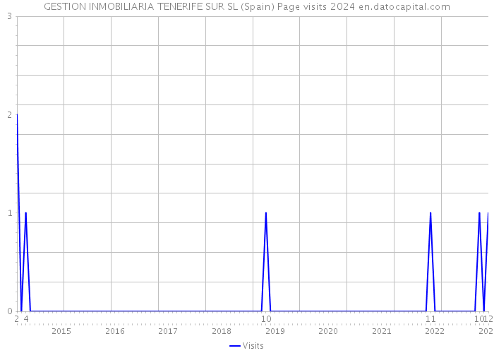 GESTION INMOBILIARIA TENERIFE SUR SL (Spain) Page visits 2024 