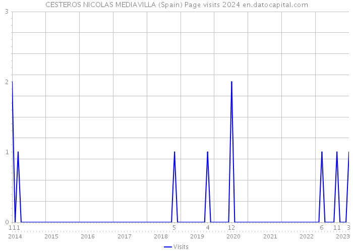 CESTEROS NICOLAS MEDIAVILLA (Spain) Page visits 2024 