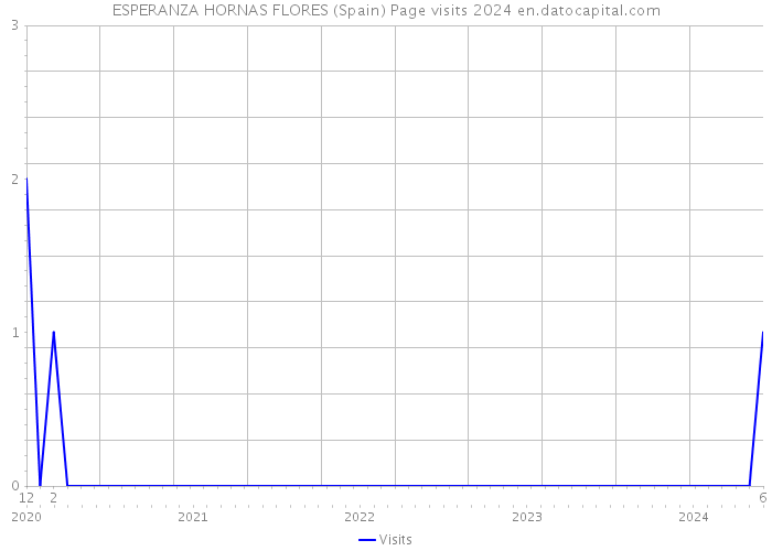 ESPERANZA HORNAS FLORES (Spain) Page visits 2024 