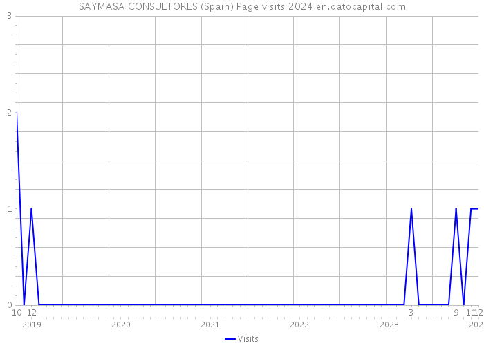 SAYMASA CONSULTORES (Spain) Page visits 2024 