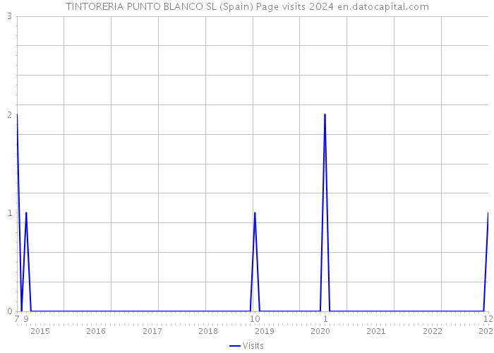 TINTORERIA PUNTO BLANCO SL (Spain) Page visits 2024 